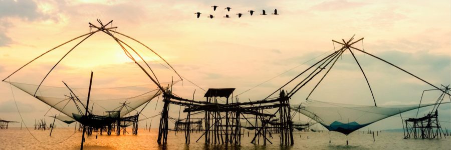 rural-lifestyle-at-pakpra-canal-during-sunrise-in-2023-11-27-05-31-49-utc-scaled